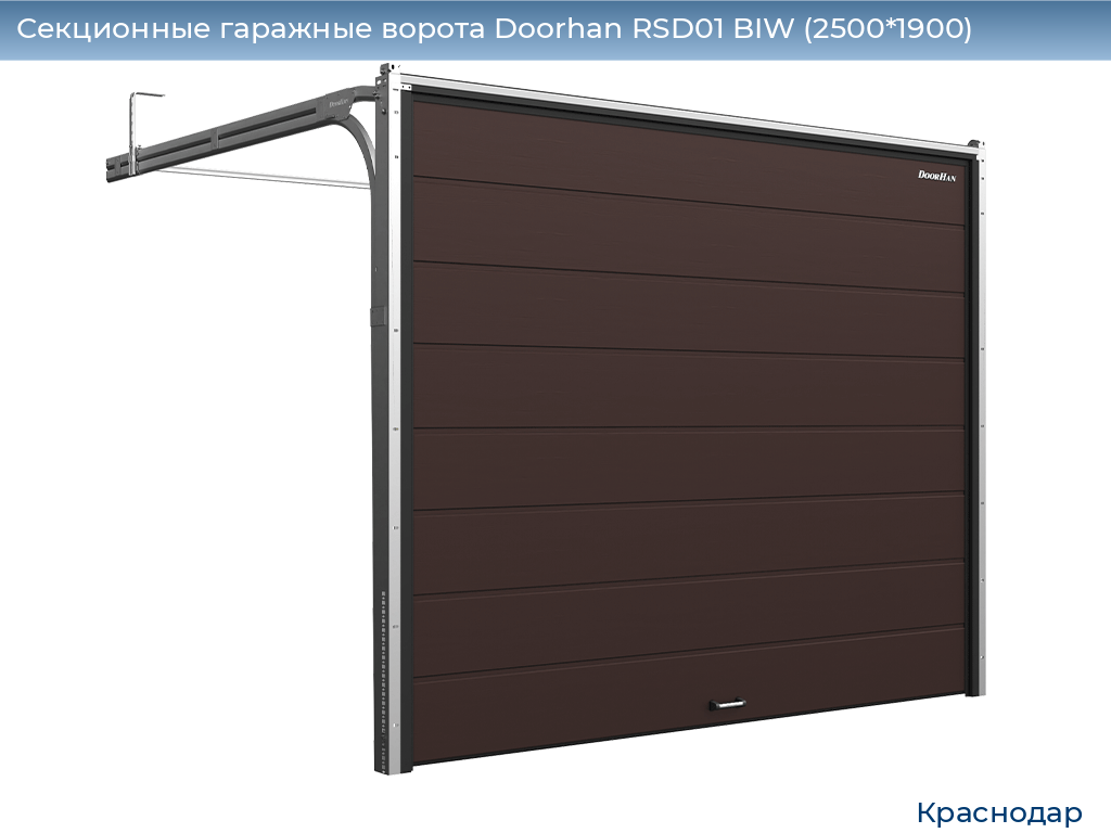 Секционные гаражные ворота Doorhan RSD01 BIW (2500*1900), https://krasnodar.doorhan.ru