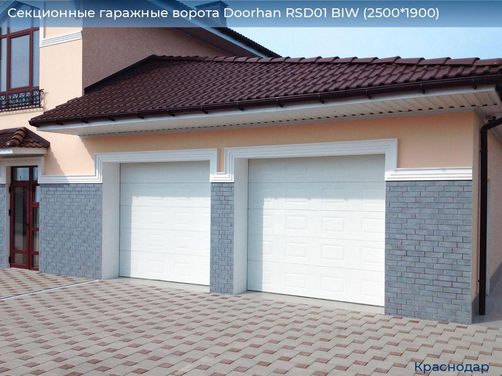 Секционные гаражные ворота Doorhan RSD01 BIW (2500*1900), https://krasnodar.doorhan.ru