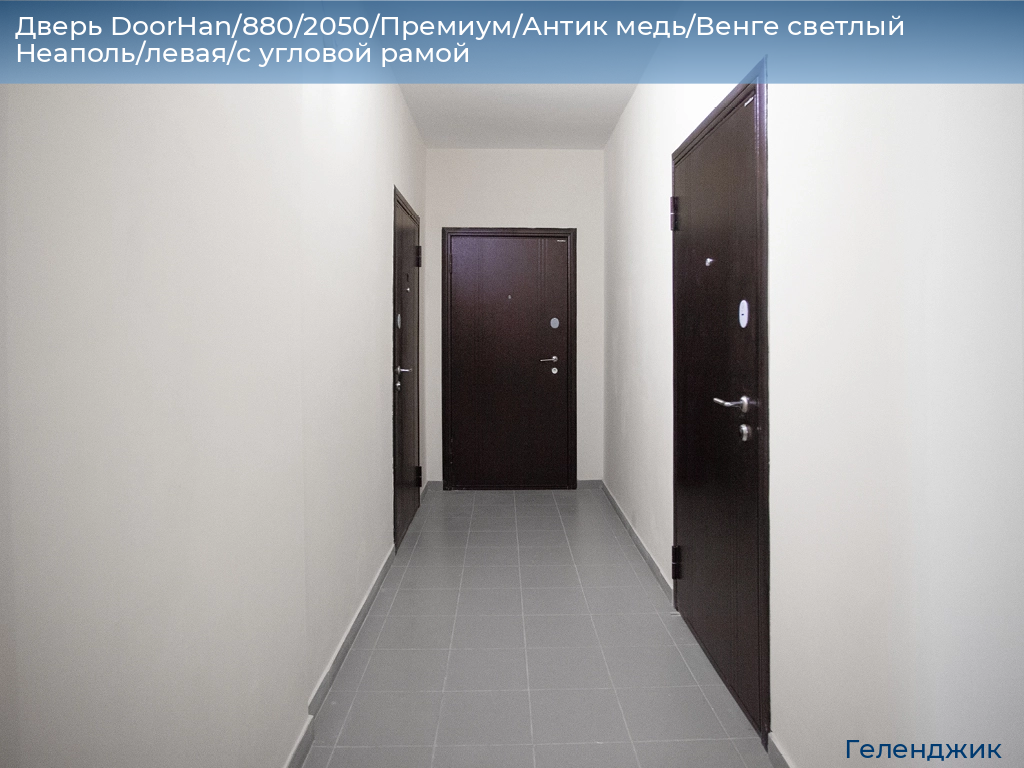 Дверь DoorHan/880/2050/Премиум/Антик медь/Венге светлый Неаполь/левая/с угловой рамой, gelendzhik.doorhan.ru