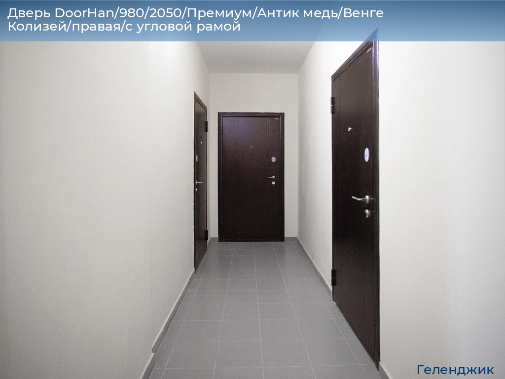 Дверь DoorHan/980/2050/Премиум/Антик медь/Венге Колизей/правая/с угловой рамой, gelendzhik.doorhan.ru