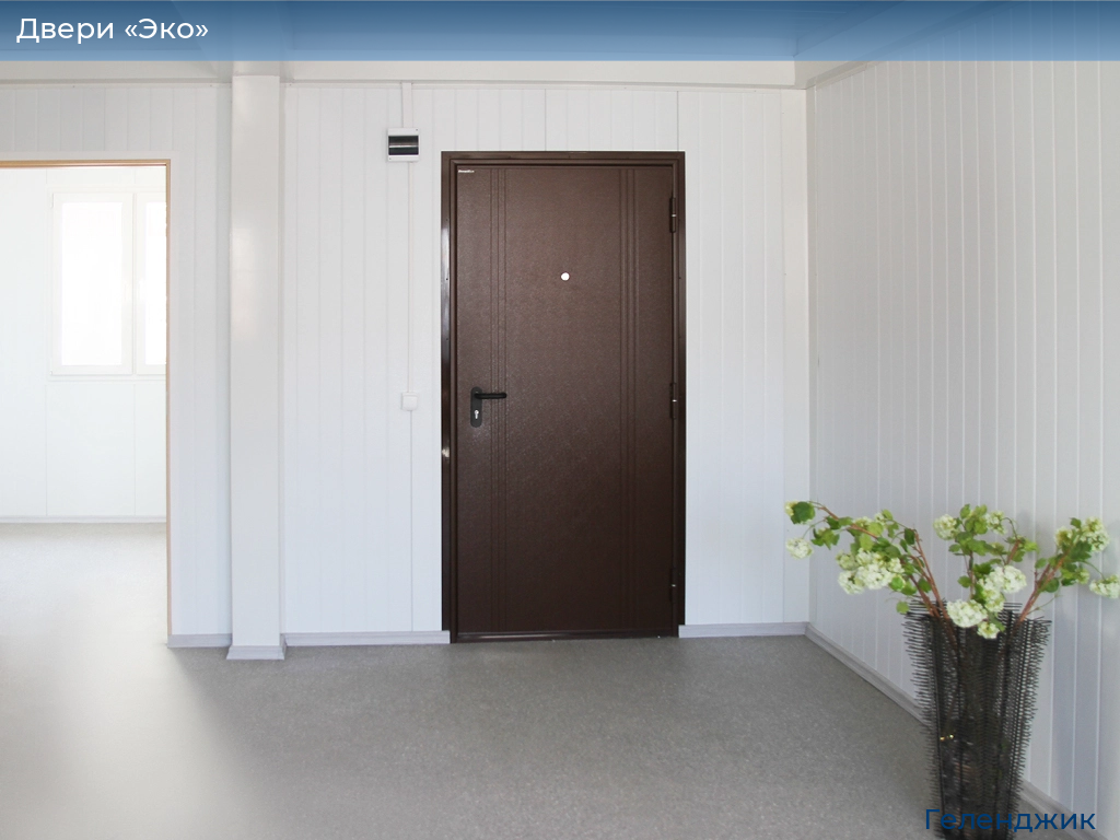 Двери «Эко», 